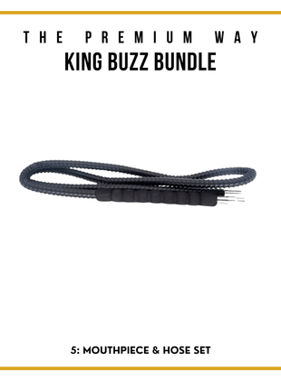 King Buzz Beginner's Shisha Kit
