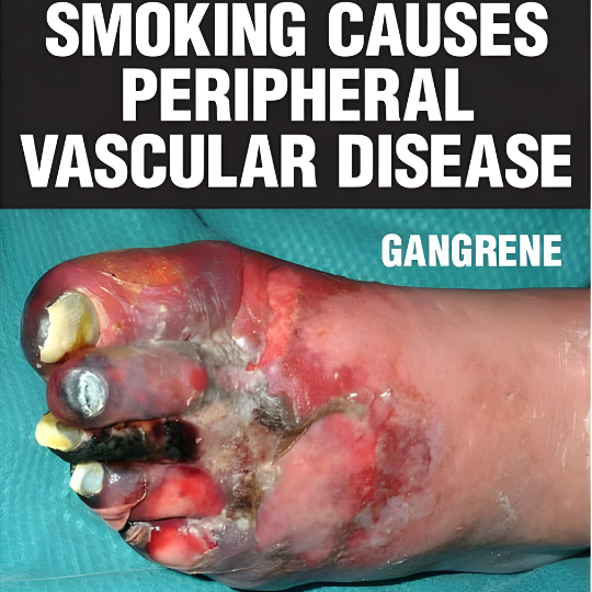 Darkside Red Alert shisha flavour – Buy in Australia